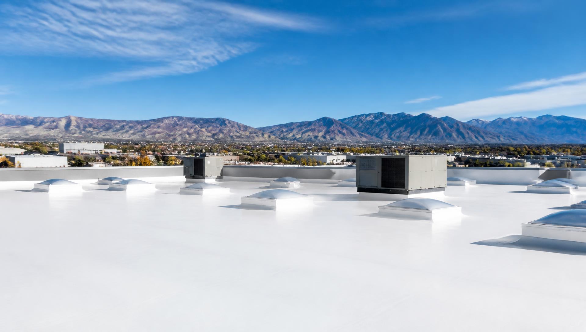 Roof coatings
