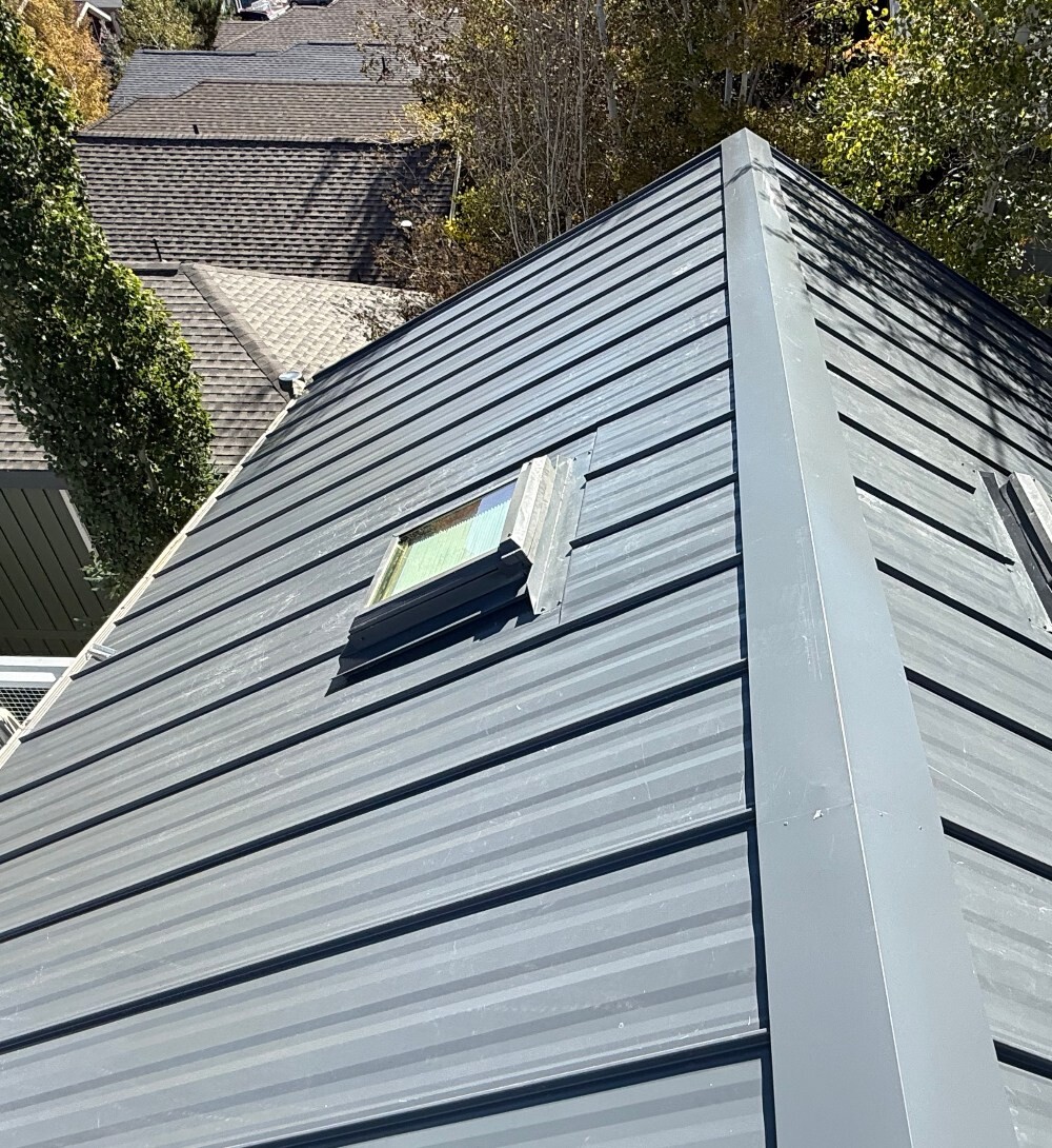 Close-up of a standing seam metal roof with skylights and clean panel details