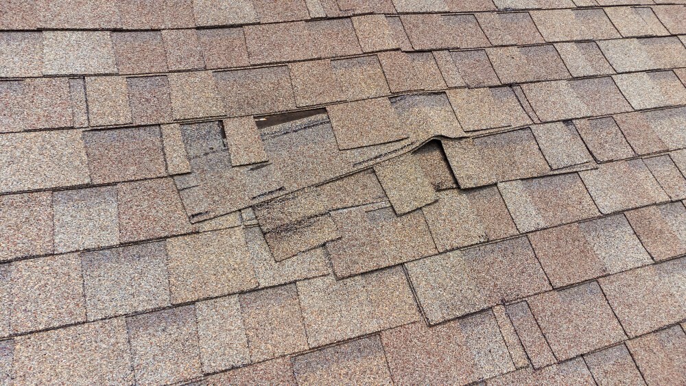 Damaged asphalt shingles with lifted and missing pieces showing the source of a roof leak